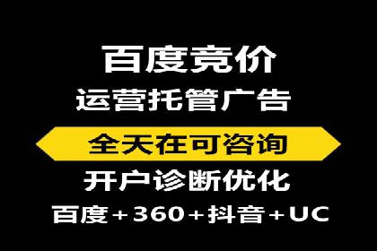 SEM广告投放的竞价策略与效果评估案例